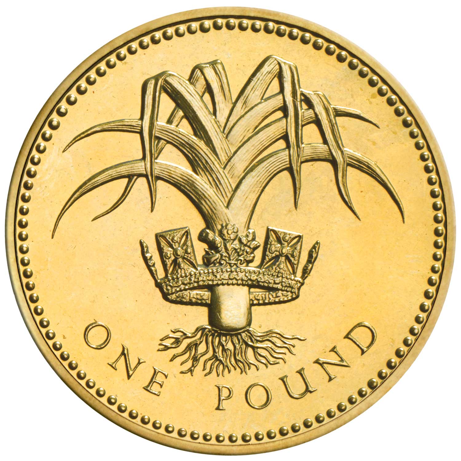 1985 Elizabeth II 'Leek and Royal Diadem, Representing Wales' £1 Coin