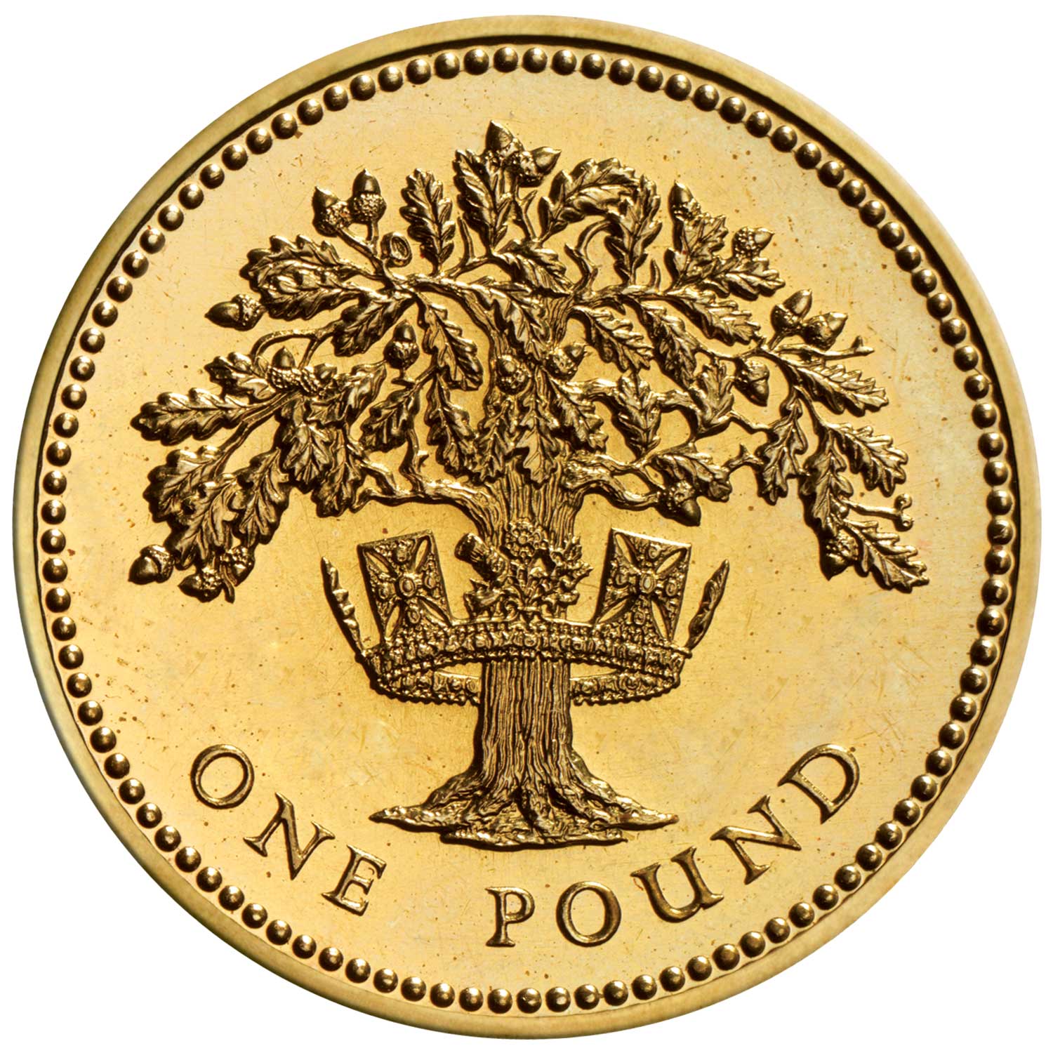1992 Elizabeth II 'Oak Tree and Royal Diadem, Representing England' £1 Coin