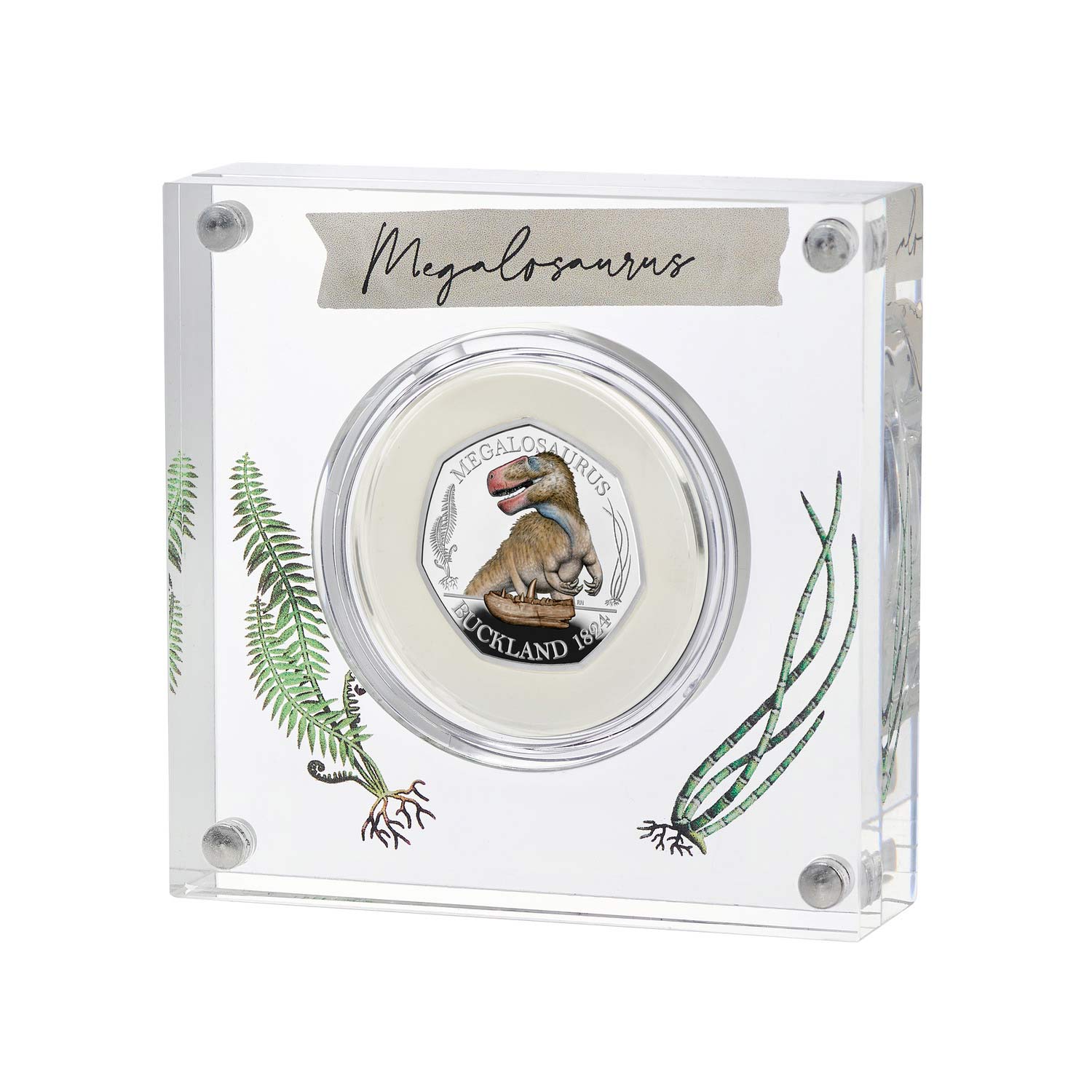 Silver Proof Colour Megalosaurus 2020 UK 50p coin
