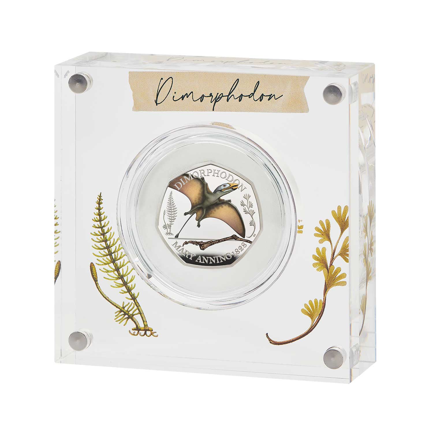 Dimorphodon 2021 UK Silver Proof Colour 50p Coin
