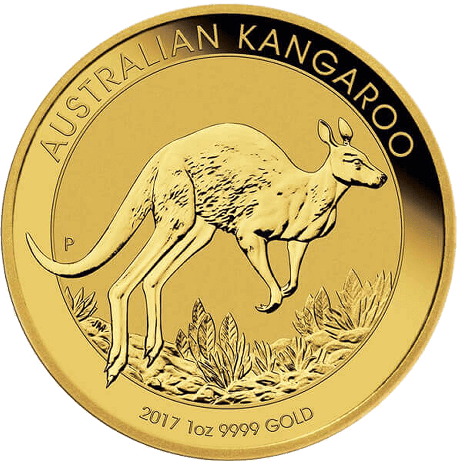 Australian Nugget 2017 1 oz Gold Ten Coin Tube