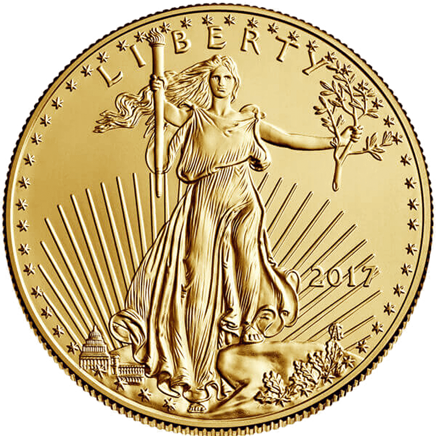 American US Eagle 2017 1 oz Gold Coin