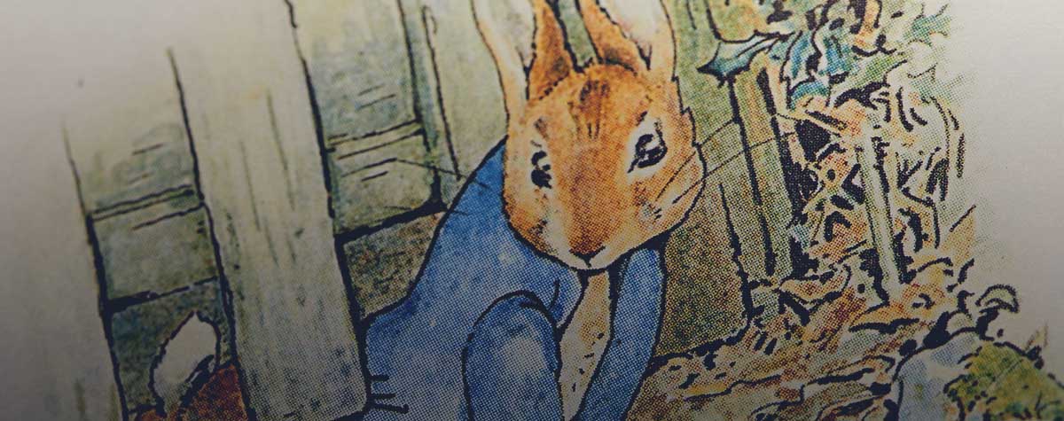The Evolution of Peter Rabbit
