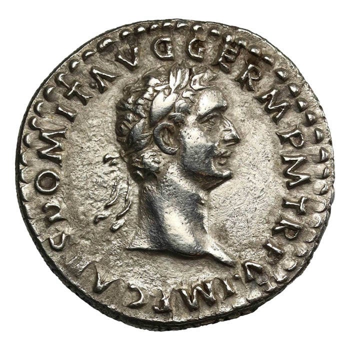 81-96 Domitian Silver Denarius 