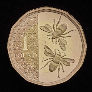 Definitive £1 2025 UK Gold Proof Coin