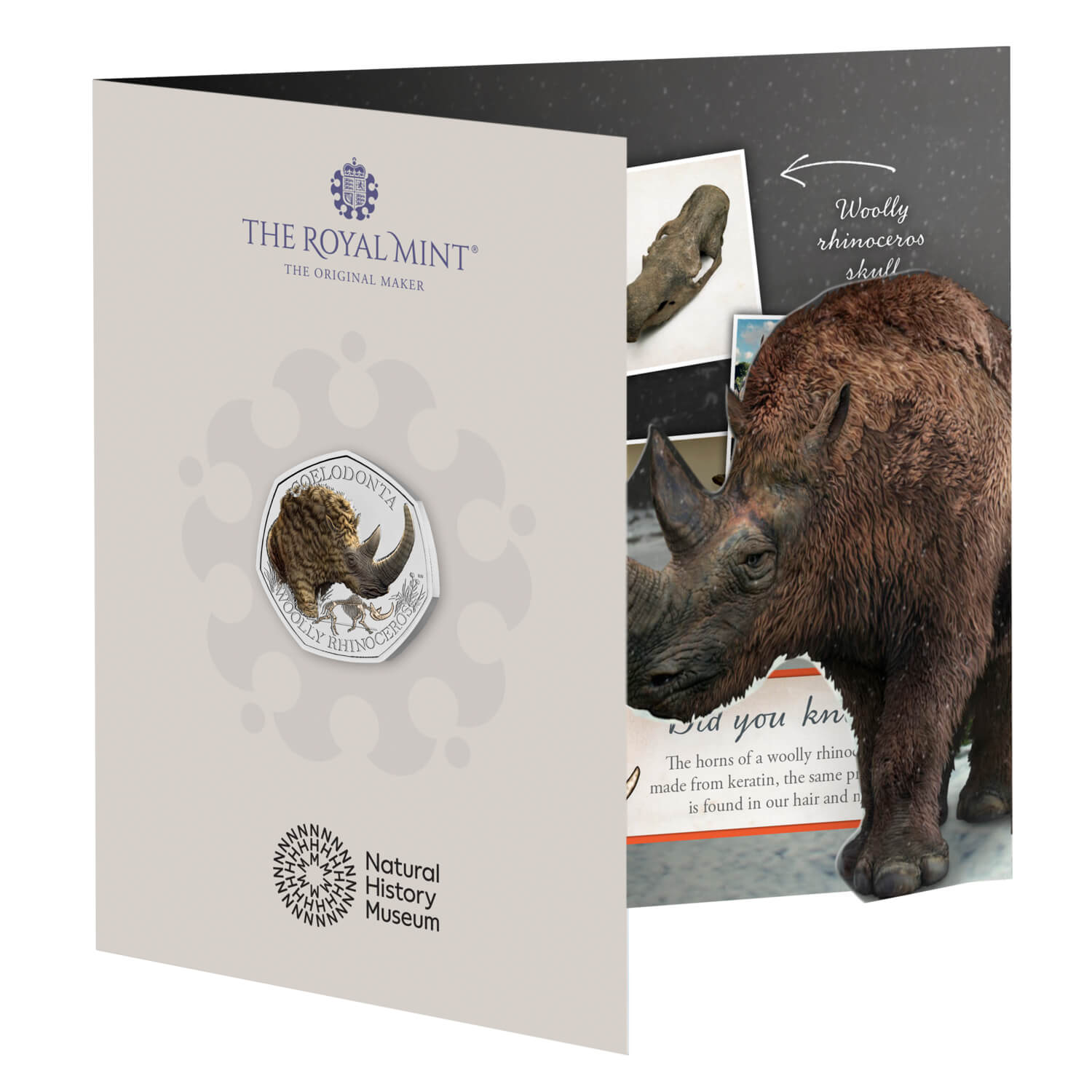 2024 Woolly Rhinoceros 50p Coin BU Pack - Natural History Museum Edition (In Stock, UK)