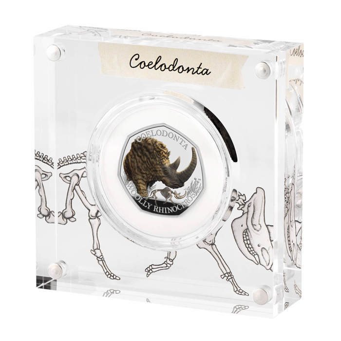 Woolly Rhinoceros 50p Coins 3 Woolly Rhinoceros 50p Silver Proof