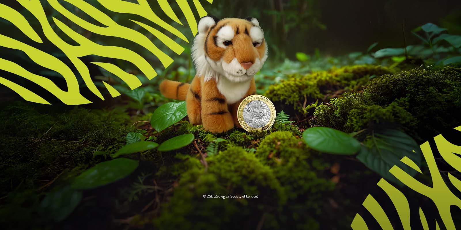 Competition Page Title