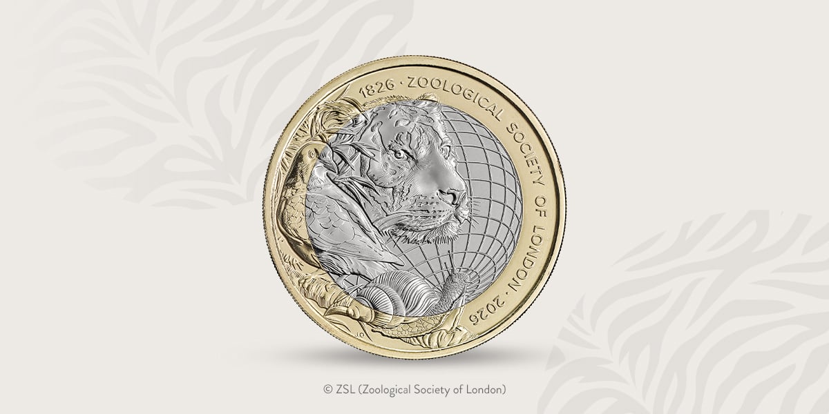 A Celebration of Conservation