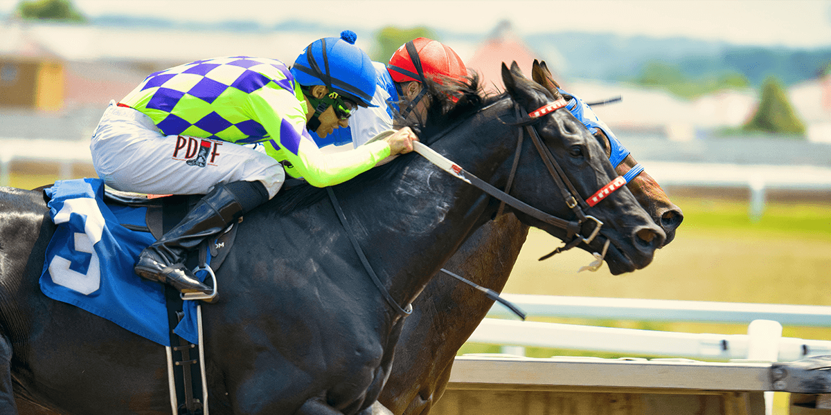 Trends to Watch for the Remainder of 2025 – A St Leger’s Day Review