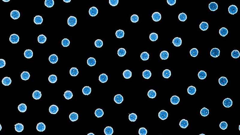 Sensor Innovation &ndash; 60 Seconds in Platinum