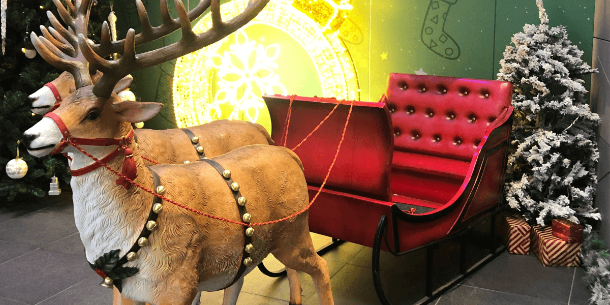 Ultimate Bundle Package