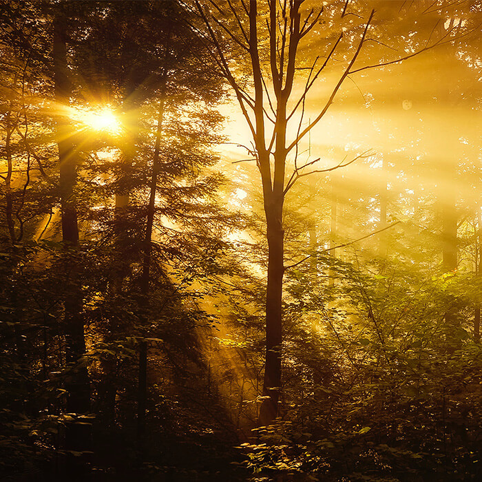 LBMA Precious Metals Market Report: Q3 2023 LBMA Precious Metals Market Report: Q3 2023