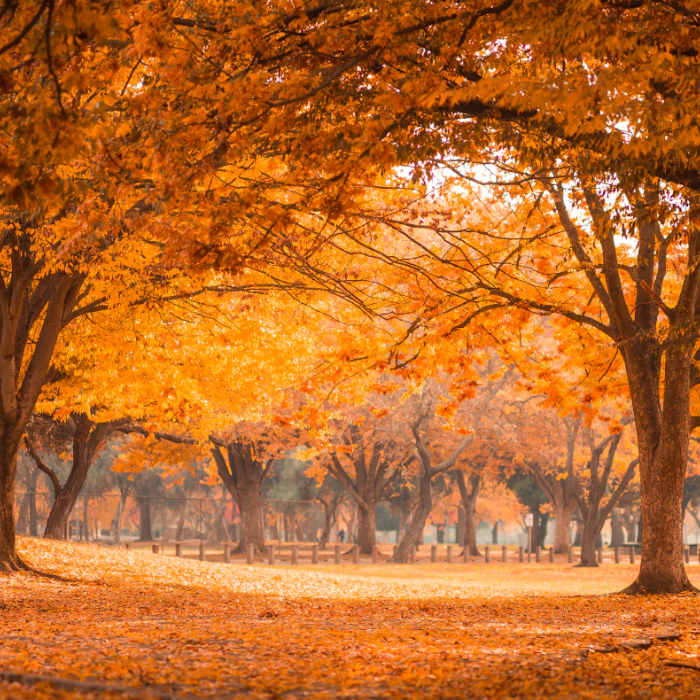 November 2023 End of Month Market Roundup November 2023 End of Month Market Roundup