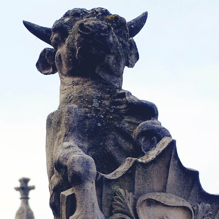 The Bull of Clarence