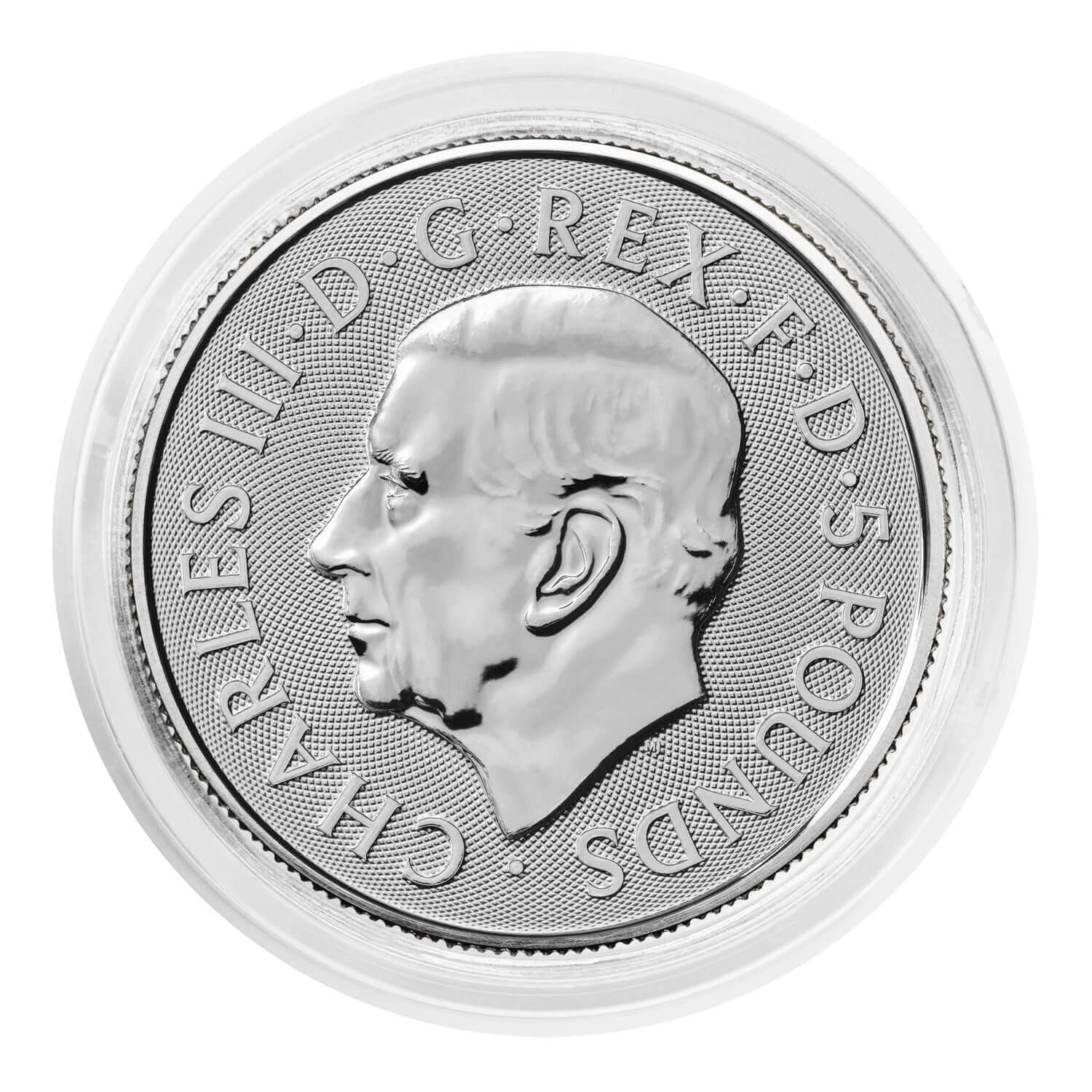 2024 Tudor Dragon Silver 2oz Bullion Coin | The Royal Mint