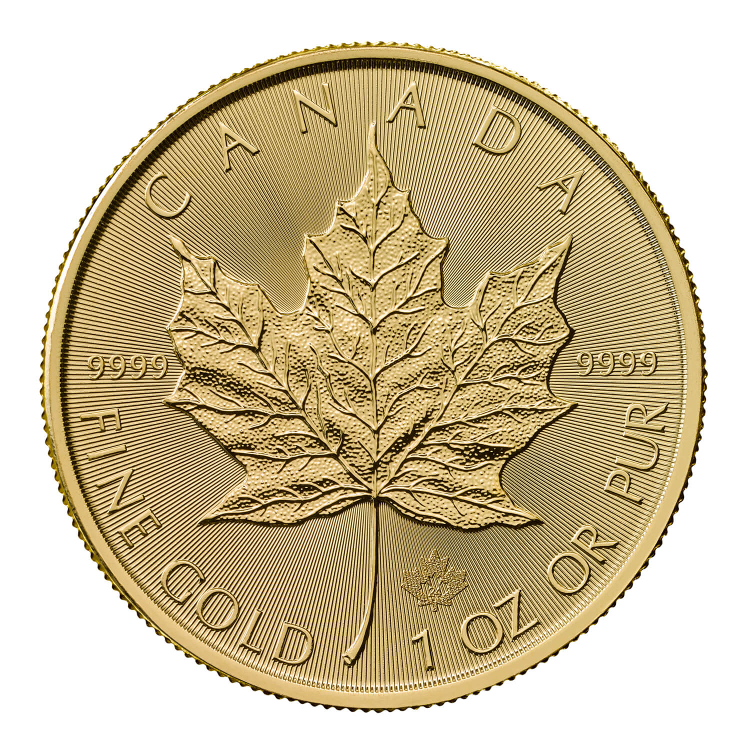 Canadian Maple 2024 1oz Gold Bullion Coin | The Royal Mint
