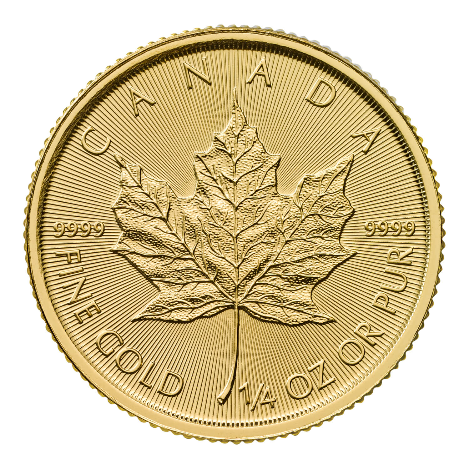ＤＡＩＮＡ-ＲＯＹＡＬＭＩＮＴ Canadian Maple 2024 1/4oz Gold Bullion Coin | The Royal Mint