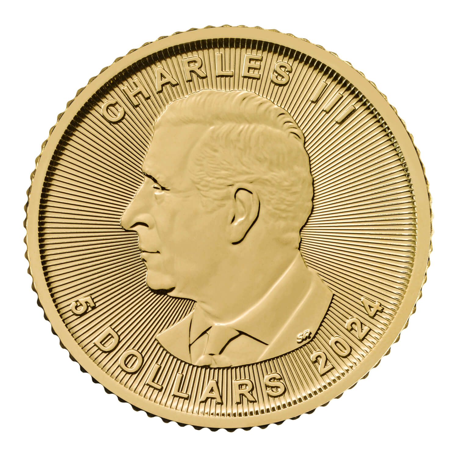 ＤＡＩＮＡ-ＲＯＹＡＬＭＩＮＴ Canadian Maple 2024 1/10oz Gold Bullion Coin | The Royal Mint