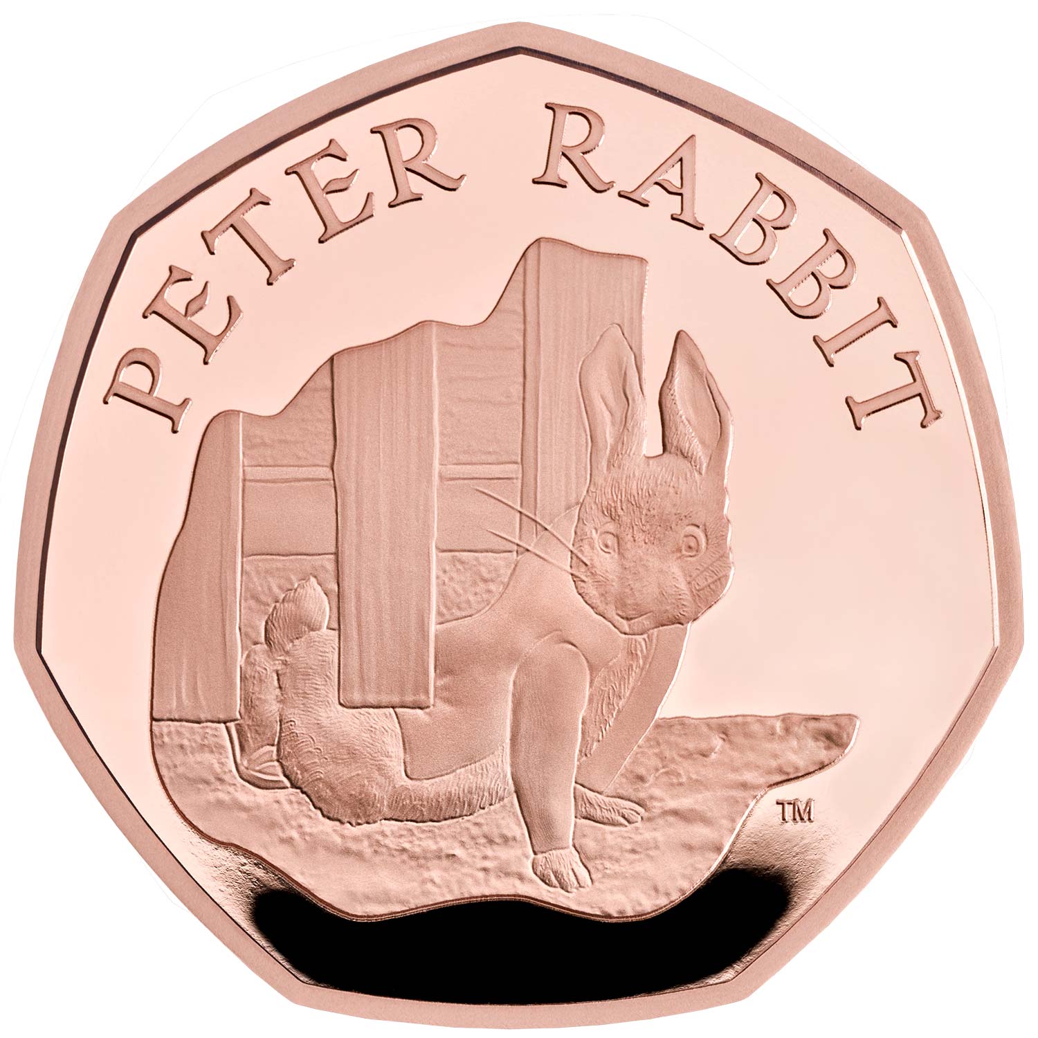 thumbnail interactive-video image 1 of Set Of 50 Personalised Peter Rabbit Chocolate Coins For Christening Or Baptism Favors 1 of 5