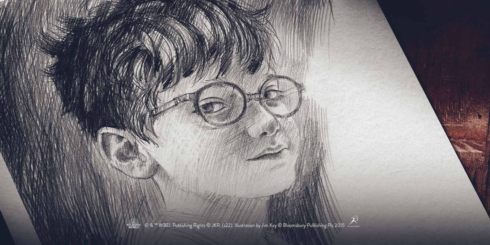 t6-supporting-image-1-Harry Potter_Meet the Maker.jpg