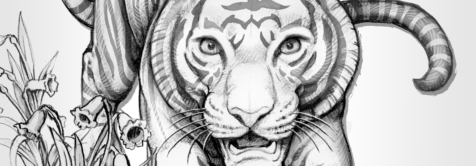 Meet the Maker - Lunar Year of the Tiger