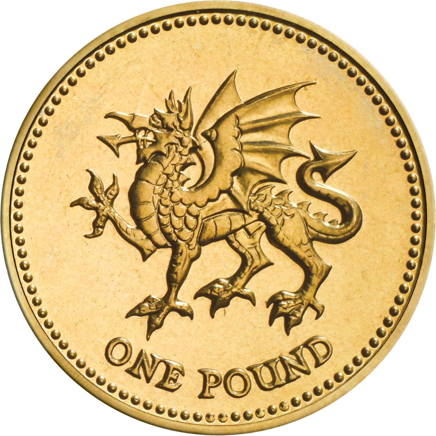 1995_2000_one_pound_rev_coin.jpg