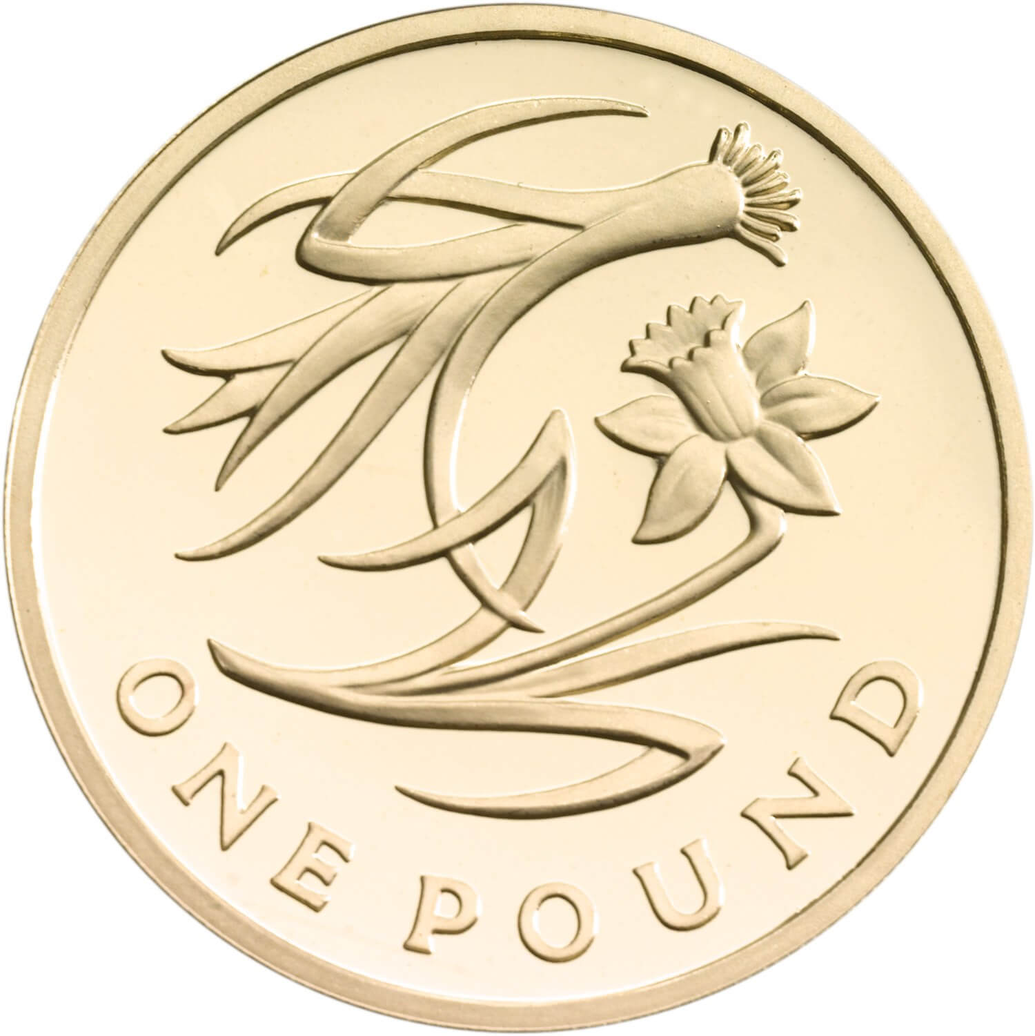 2013_one_pound_rev_coin.jpg