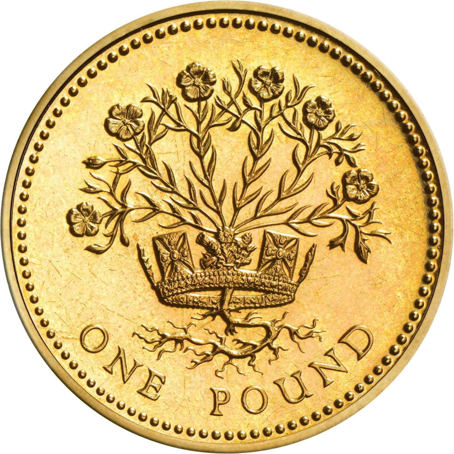 1986--1991-one-pound_rev-coin.jpg