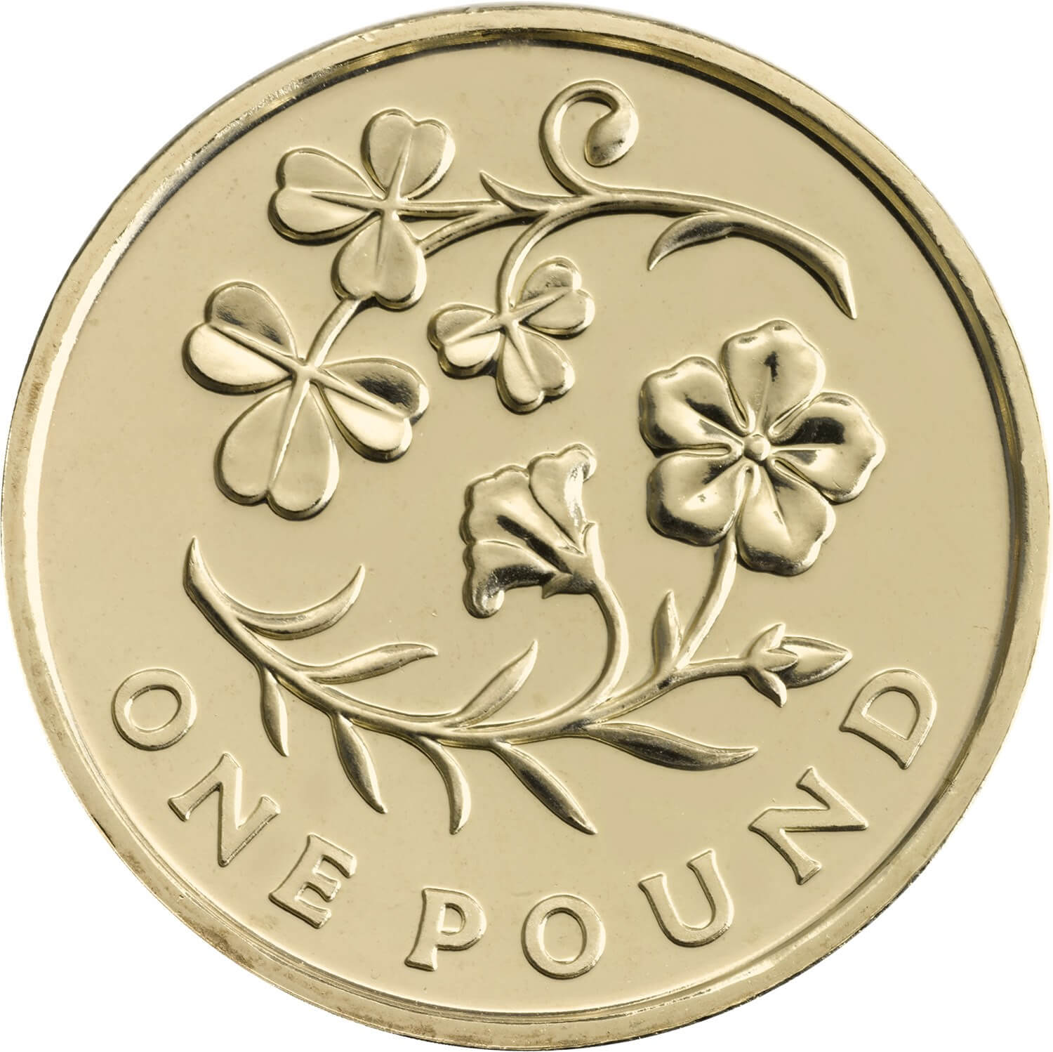 2014-nireland-one-pound_rev-coin.jpg