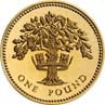 1987 One Pound Coin