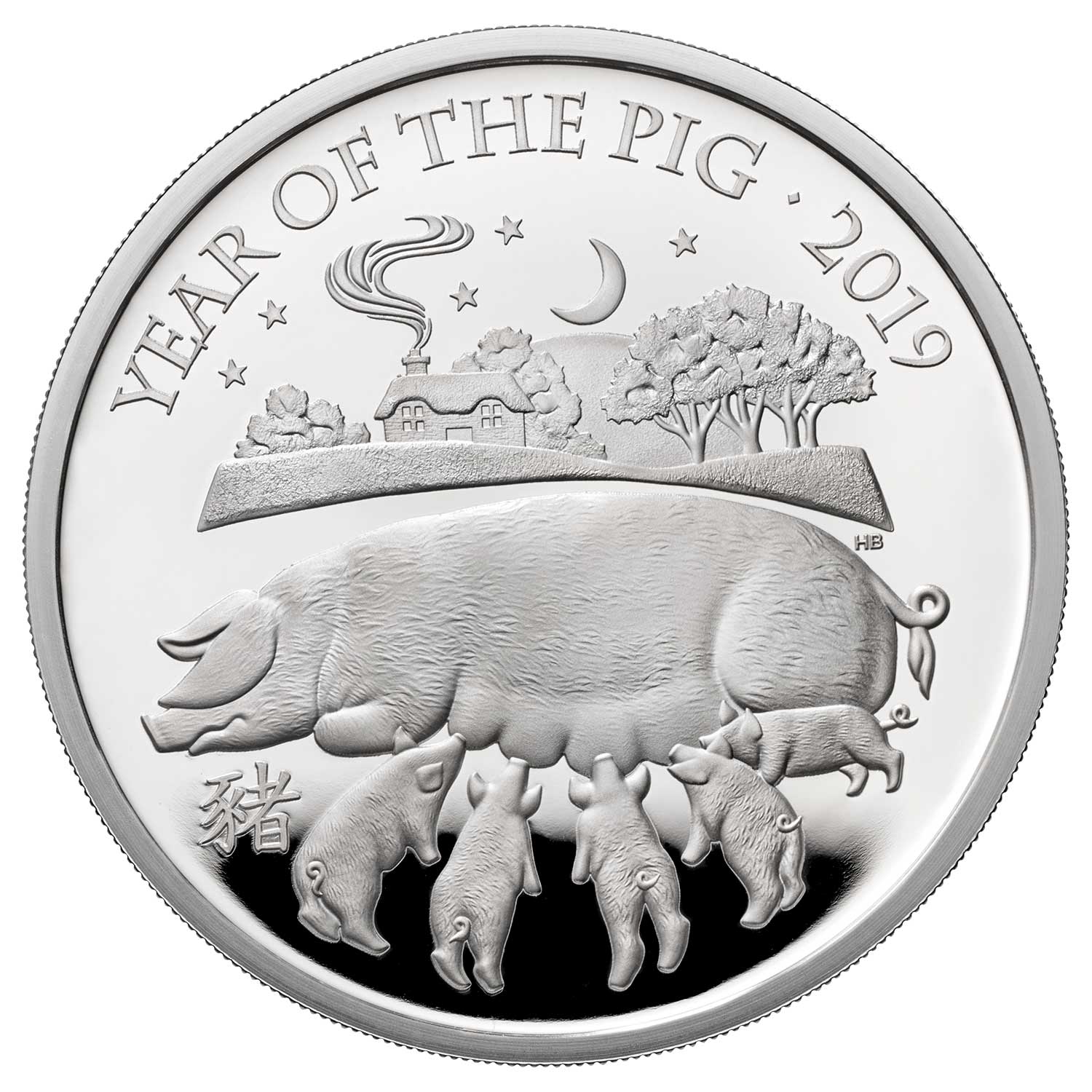 Year of the pig gold 2019 chinese zodiac coin anniversary coins souvenir coinPER